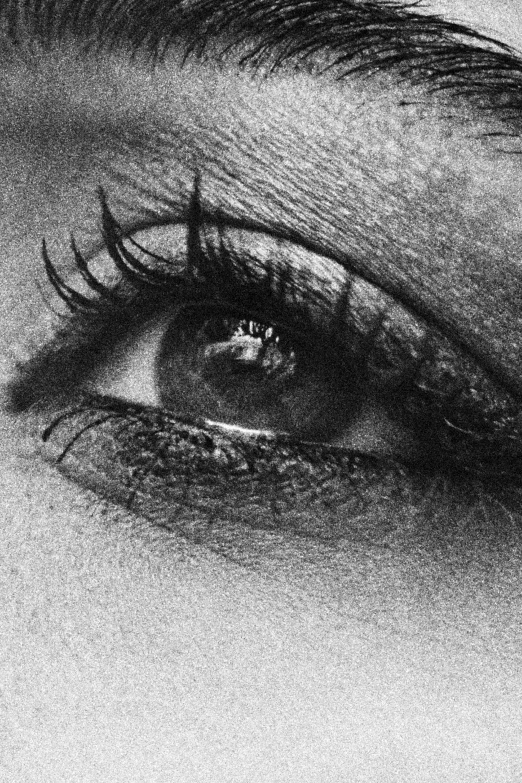 [T]ESSERE