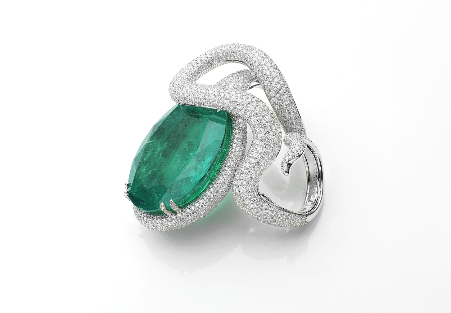 KING-COBRA-Still-Life-Jewel 001