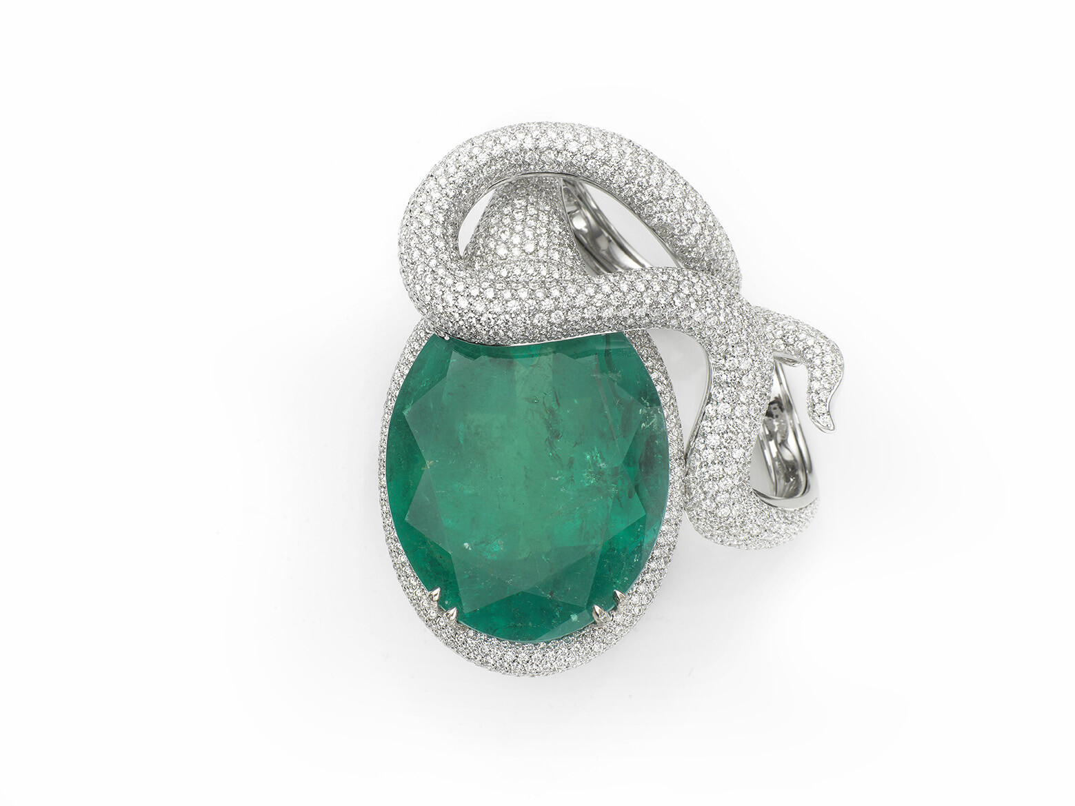 KING-COBRA-Still-Life-Jewel 002