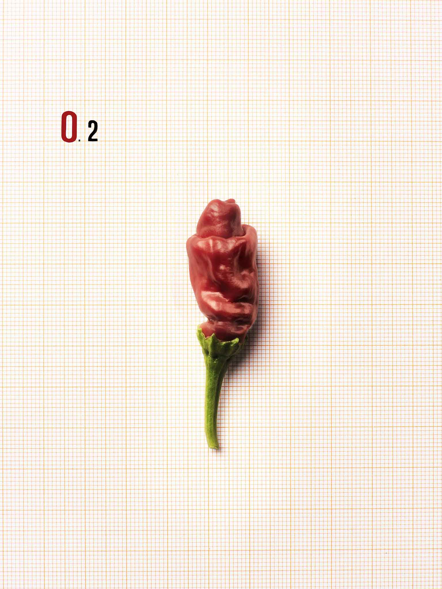 03 FOOD-STILL-LIFE-Fine Art-photography