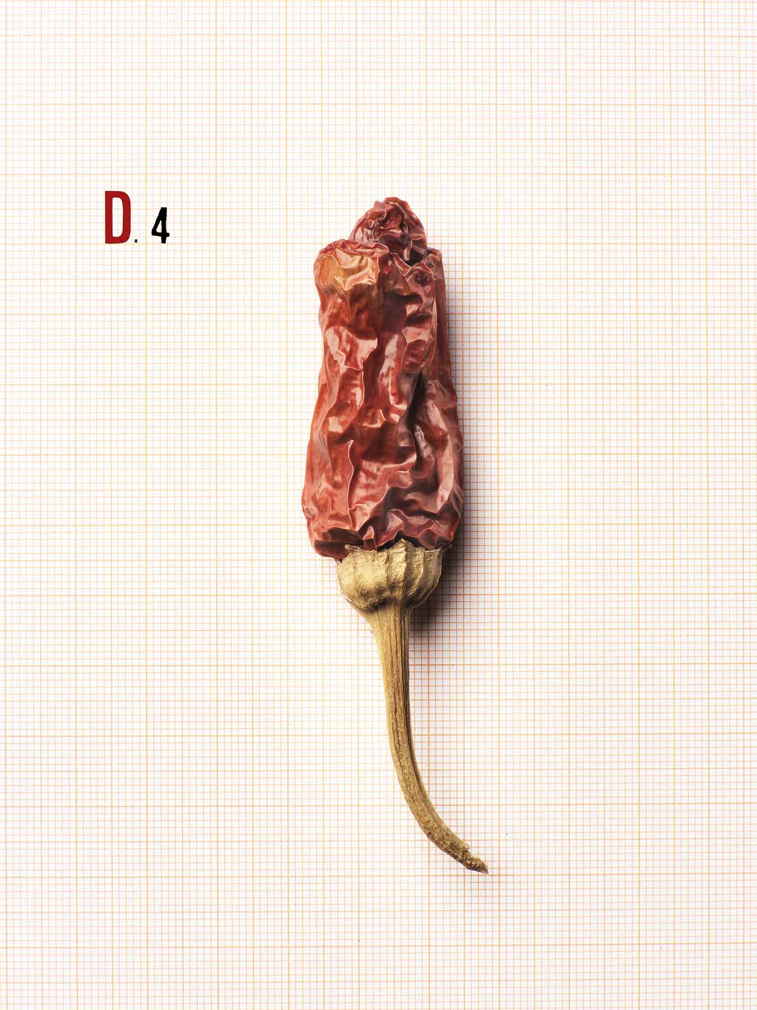 05 FOOD-STILL-LIFE-Fine Art-photography