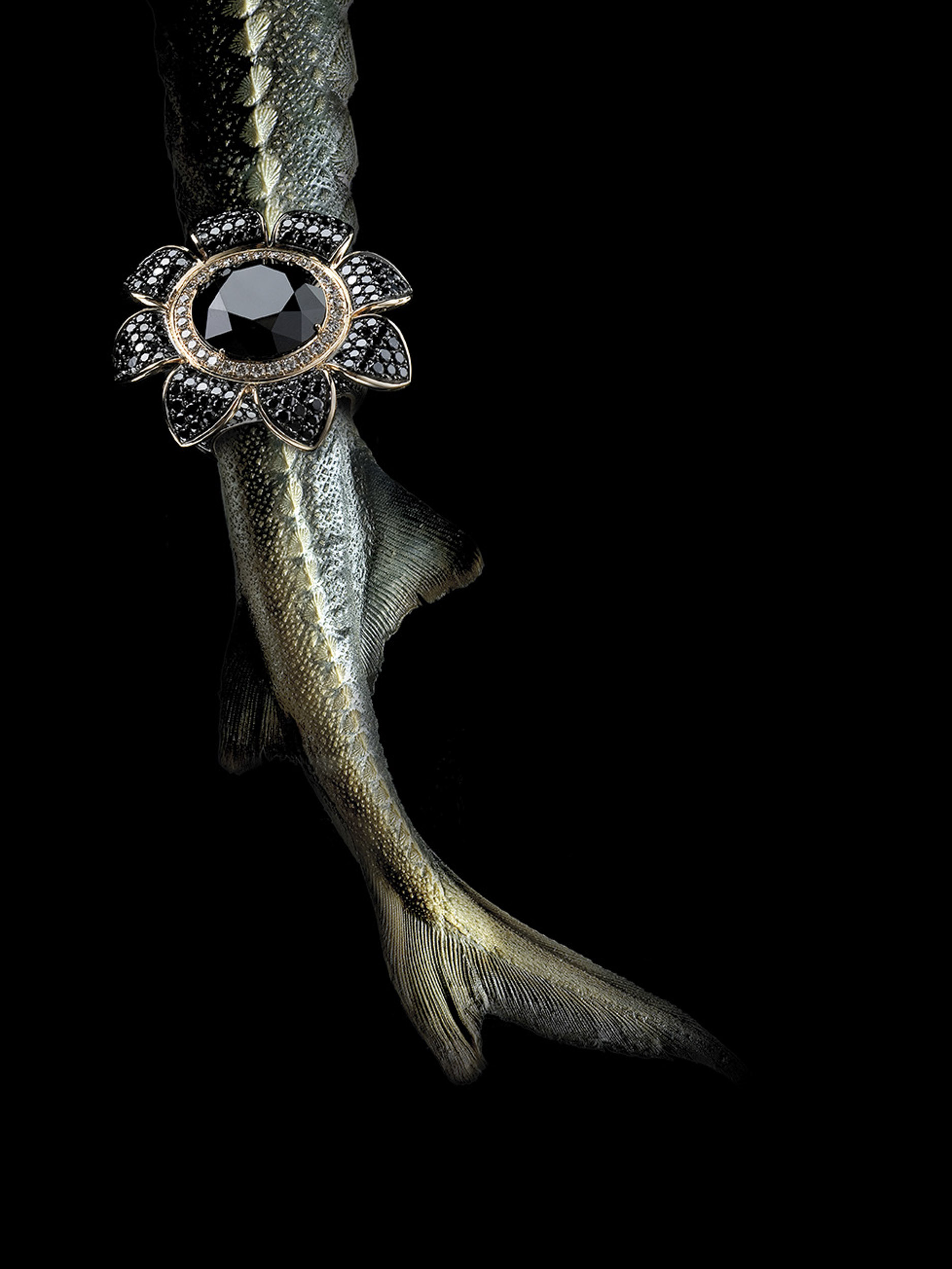 Andrea-Piunti-jewel-photography-still-life